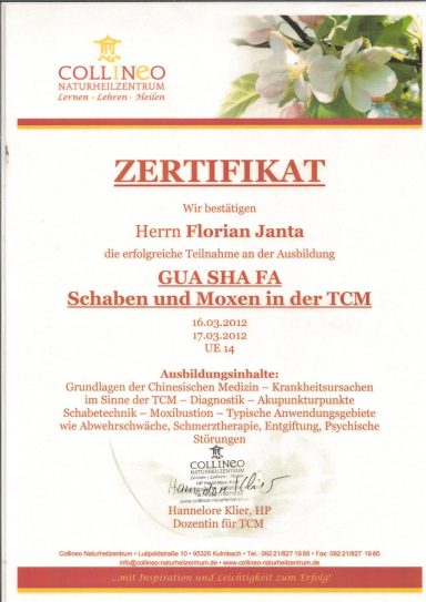 Ausbildungs-Zertifikat für GuaShaFa zur Harmonisierung der Energiebahnen und Unterstützung der Meridian-Reinigung.